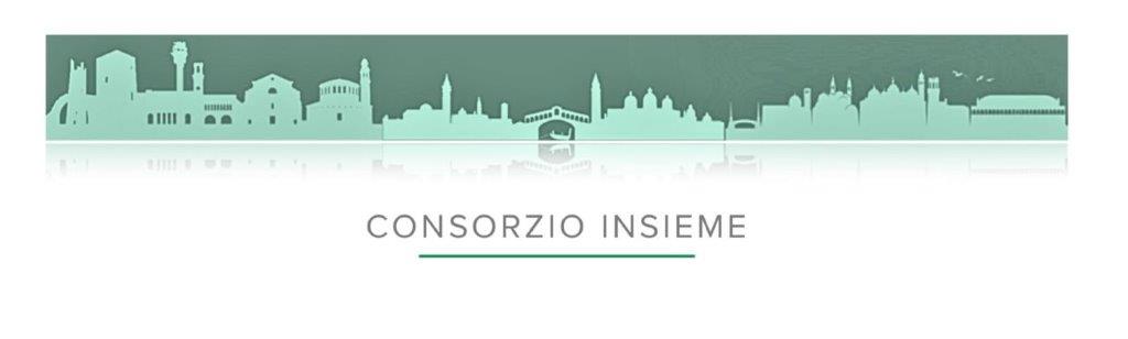 CONSORZIO INSIEME SOC.COOP.SOC.